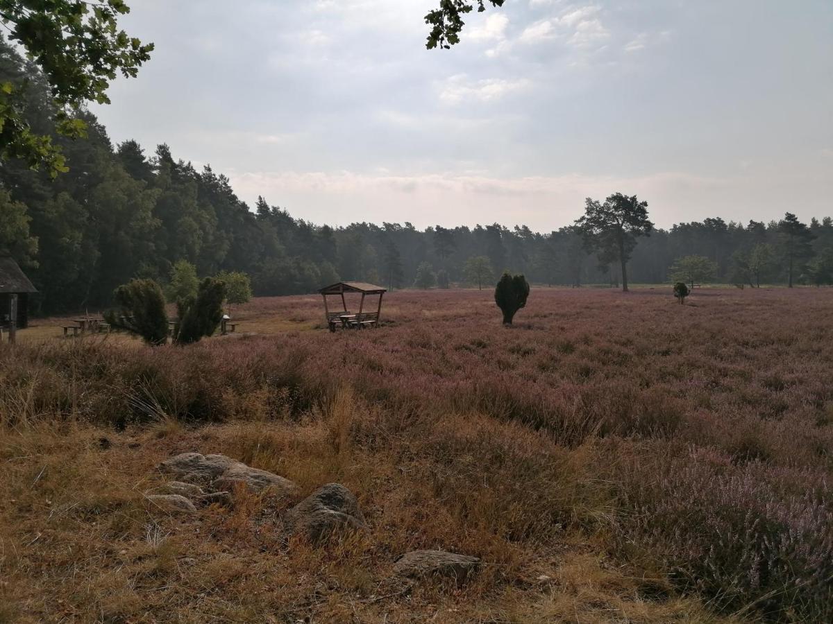 Appartamento Strohboehn Oldendorf  Esterno foto